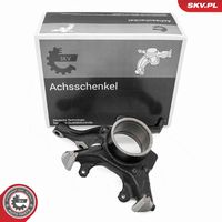 Steering Knuckle, wheel suspension