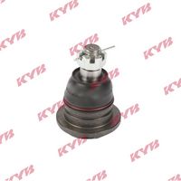 Trag-/Führungsgelenk