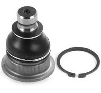 Trag-/Führungsgelenk