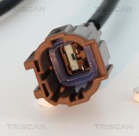 Article Picture