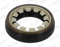 Wellendichtring, Differential