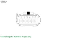 Schaeffler Vitesco Gasklephuis 2