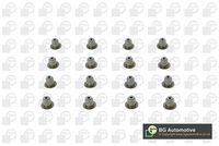 Set garnituri, ax supape BGA, Cod: VK1373
