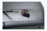 Article Picture
