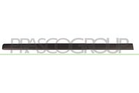 Elemente decorative/protectie, portiera PRASCO, Cod: FT1221404