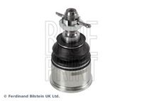 Trag-/Führungsgelenk