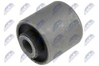 тампон, носач