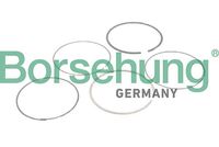Kolbenringsatz