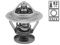Thermostat, Kühlmittel
