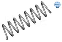 пружина за ходовата част