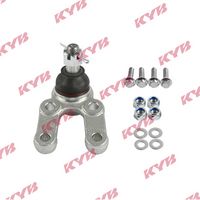 Trag-/Führungsgelenk