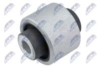 тампон, носач