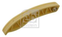 Gleitschiene, Steuerkette
