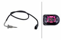 Sensor, Abgastemperatur