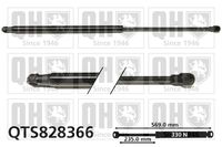 Gasfeder, Koffer-/Laderaum