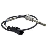 Sensor, Abgastemperatur