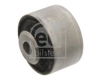Mounting, control/trailing arm