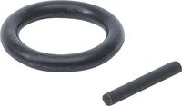 SORTIMENT O-RING