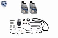 Set curea de distributie VAICO, Cod: V22-1329