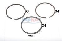 бутален пръстен (сегмент)