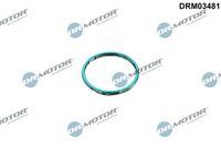 Blīve, Izplūdes caurule DRM03481 Dr.Motor