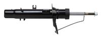 Amortizor MAXGEAR, Cod: 11-1101