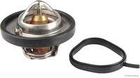 Thermostat, Kühlmittel