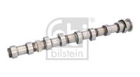 Article Picture