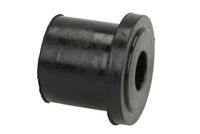 Magnum Technology Bus, veerschommel 2