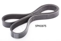 Ķīļrievu siksna 5PK875 JAPKO