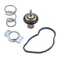 Thermostat, coolant