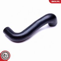 Article Picture