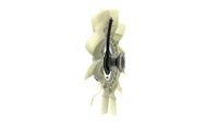 Thumbnail - Koelventilatorwiel - CFF517000P - MAHLE