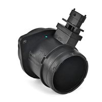 DELPHI Luchtmassameter 6