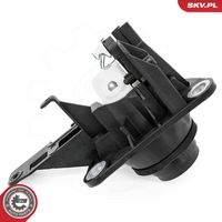 Article Picture