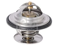Thermostat, Kühlmittel
