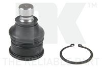 Trag-/Führungsgelenk