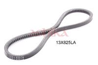 Curea transmisie ASHIKA, Cod: 109-13X825