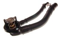 Thermostat, coolant