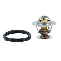 Thermostat, Kühlmittel