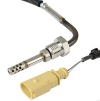 Sensor, Abgastemperatur