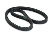 Curea transmisie Schaeffler INA, Cod: FB 13X775