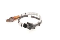 ламбда-сонда