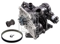 Wasserpumpe, Motorkühlung