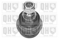 Trag-/Führungsgelenk