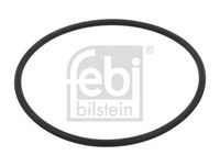 INEL DE ETANșARE POMPă SERVO