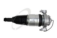 шенкел възд. възглавница