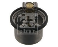 Thermostat, Kühlmittel