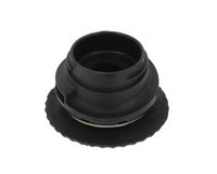 Article Picture