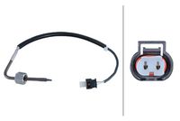 Sensor, Abgastemperatur